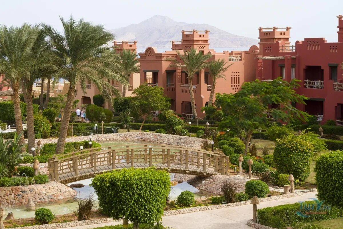 Отели в шармаль шейхе. Риксос шарм-эль-шейх. Отели в шармаль шейхе. Отель baron resort sharm el sheikh. Отель альбатрос шарм-эль-шейх 5 звезд.