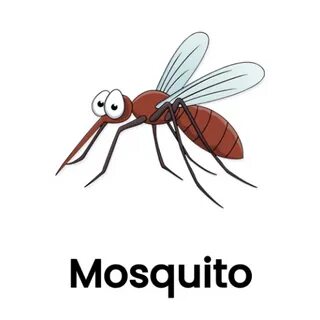 Сексуалдық спорт баскетболы