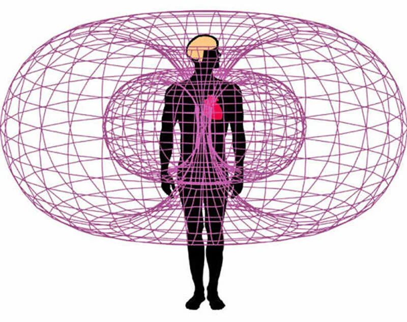 Торсионные поля человека. Спектр магнитного поля человека. Торсионное магнитное поле.
