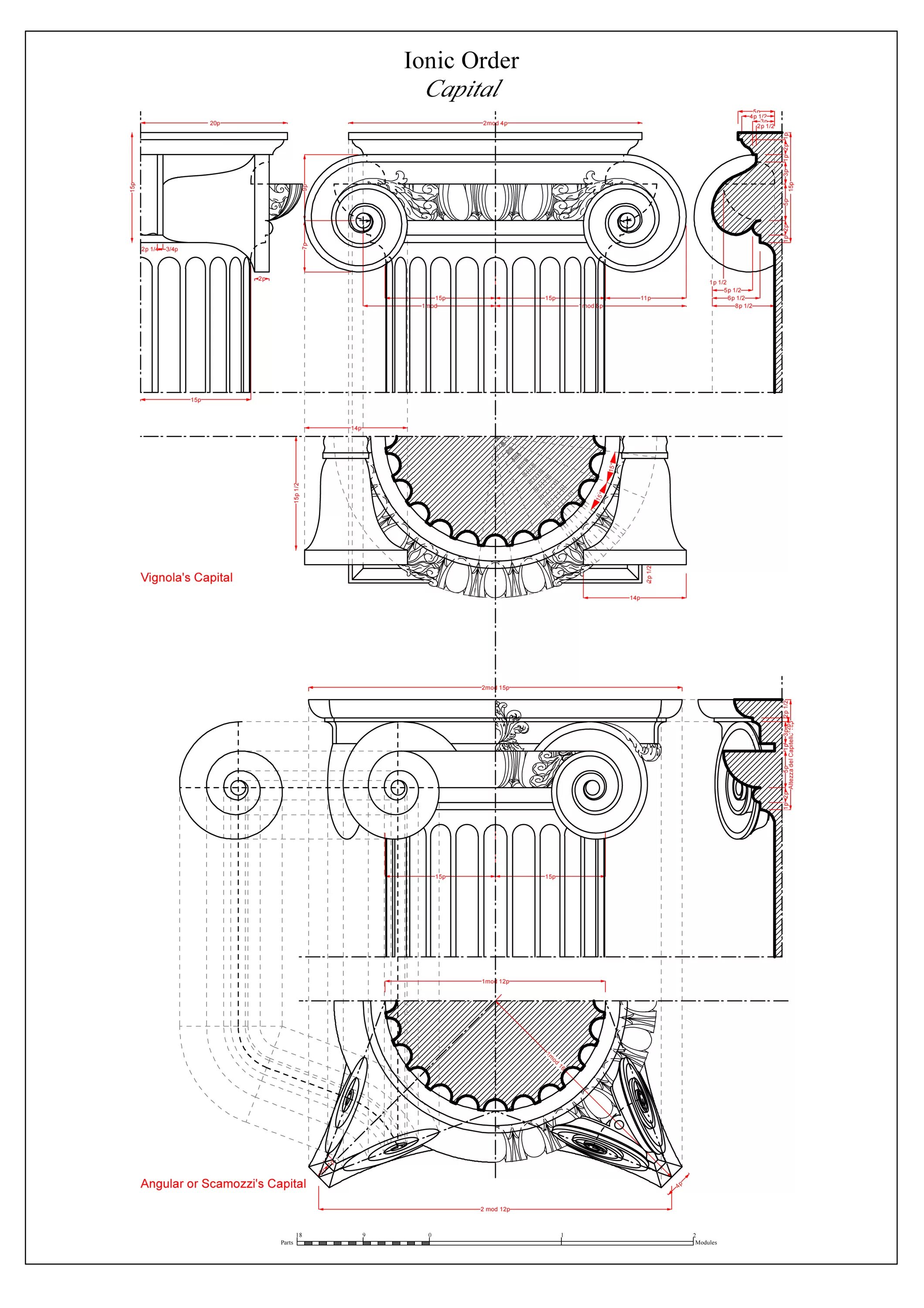 Валюта ордера. Ионический ордер чертеж. Капитель Ионического ордера. Капитель Ионического ордера чертеж. Ионическая Капитель чертеж.