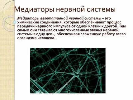 Нервные медиаторы