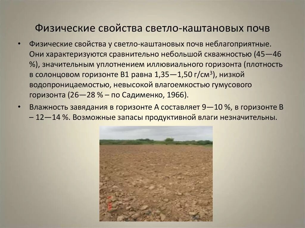 Гумусовый Горизонт каштановых почв. Каштановые почвы. Светло каштановые почвы. Каштановые почвы характеристика. Каштановые климат