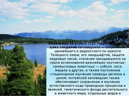 Алтайский заповедник доклад 2 класс