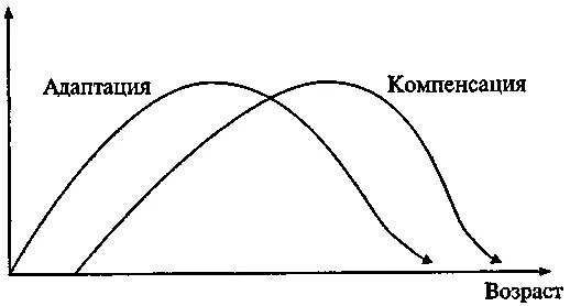 Адаптация и компенсация. Понятие об адаптации и компенсации. Фазы компенсаторного процесса.