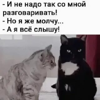 Что же ты молчишь посмотри в глаза