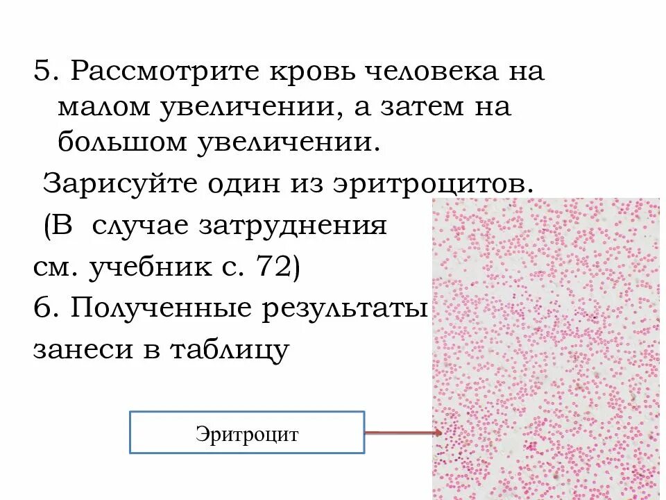 Зарисуйте один из эритроцитов человека. Значение крови. Внутренняя среда организма состав и значение крови. Кровь человека увеличение. Результаты больше увеличиваются