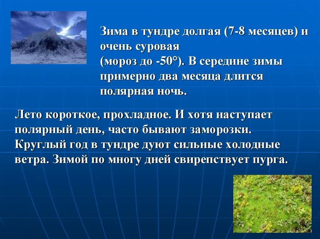 Природная зона продолжительная морозная зима. Зима в тундре длится. Короткое и Холодное лето в тундре. Лето в тундре длится. Летом наступает Полярный день.