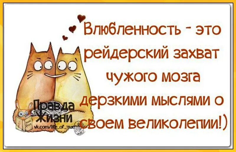 Новая правда жизни. Правда жизни картинки. Правда жизни надпись. Правда жизни приколы. Правда жизни цитаты.