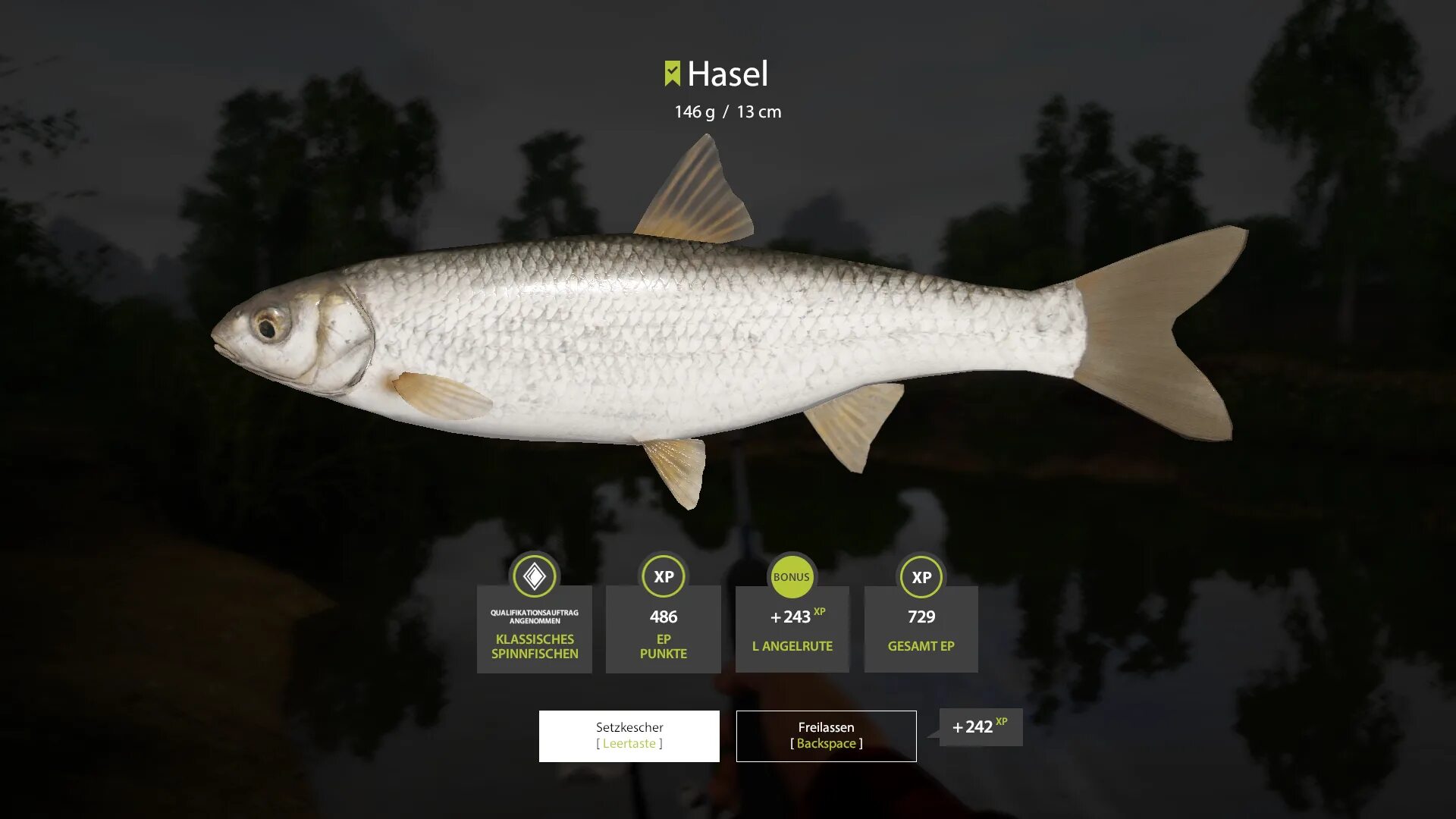 Где ловить елец. Сибирский чебак. Елец сибирский. Елец-мохтик рыба. Где ловить елец.