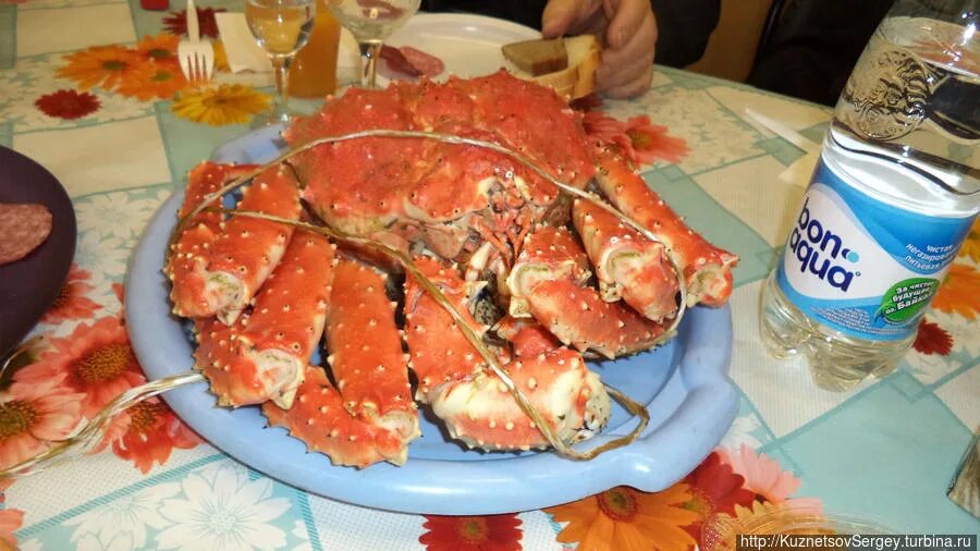 Крабы в нижнем новгороде. Икра Камчатского краба. Петропавловск-Камчатский Крабы. Краб на столе. Клешни краба с пивом.