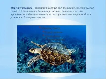Животные обитатели соленых вод 3 класс