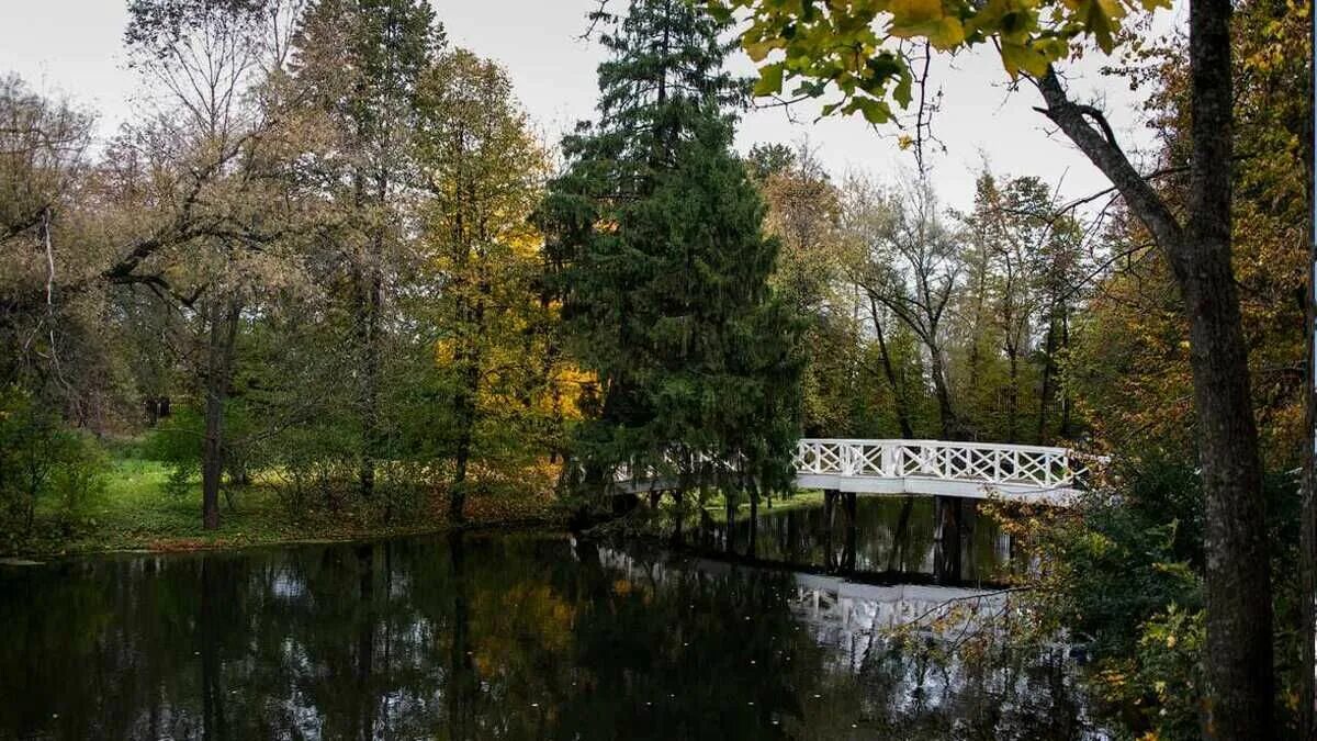 Болдино парк пушкина. Болдино усадьба. Болдинская осень пушкина усадьба. Болдино парк пушкина. Юбилейная 20 большое болдино.