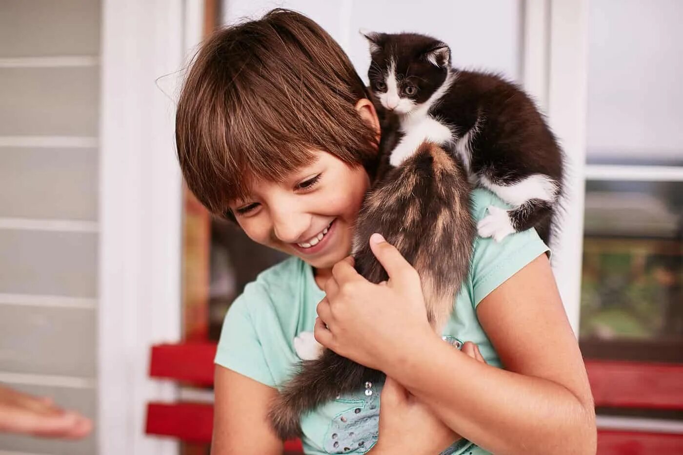 Девочка держит котенка. Мальчик держит котенка. Ребенок с котом на руках. Ребенок держит кошку. Petting photos