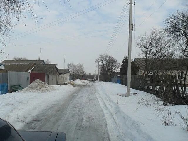 Погода в новом ропске климовского. Погода в новом ропске климовского. Московская улица чуровичи. Погода в новом ропске климовского. Новый ропск школа интернат.