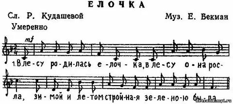 Песня в лесу родилась ноты