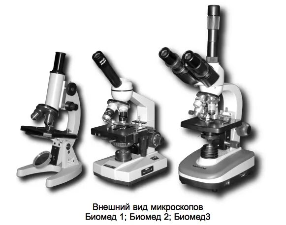 Какие бывают микроскопы виды
