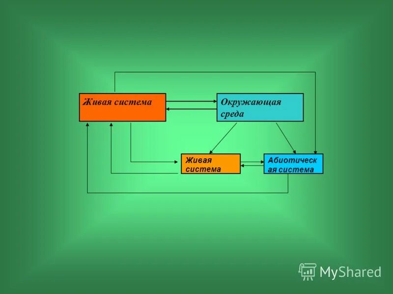 организм открытая живая система биосистема. открытая живая система. живая система пример. организмы открытые системы. живая система пример.