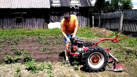 Посадка картофеля мотоблоком мтз