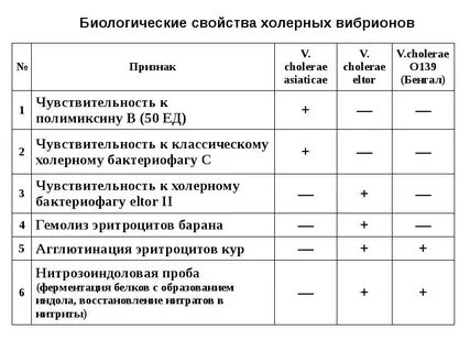 Биологические свойства возбудителей