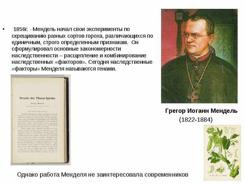 Как называл мендель признаки не проявляющиеся. Мендель. опыты менделя. работы г менделя. значение работ менделя.