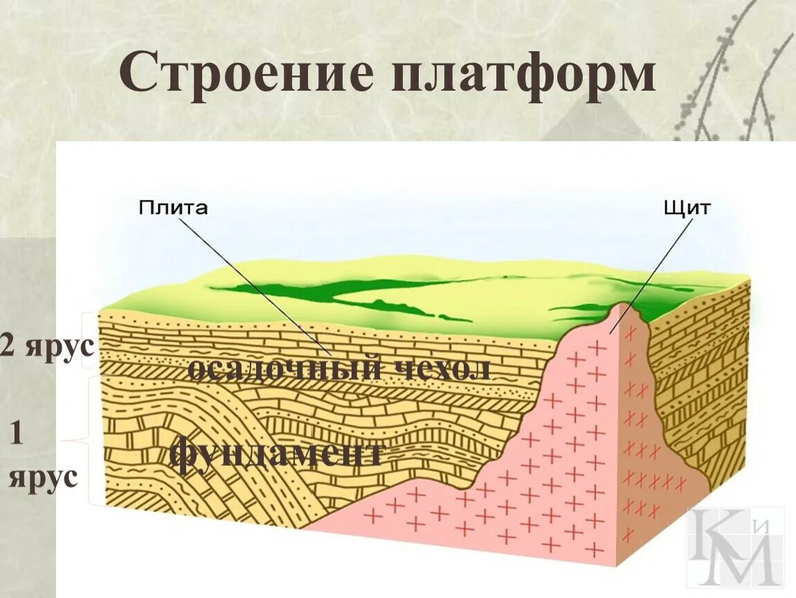 Щит в географии это. Строение платформы земной коры. Осадочный чехол щит кристаллический фундамент. Строение платформ Геология. Осадочный чехол платформ.