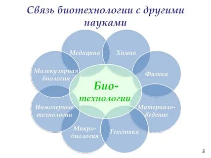 Связь биологии с другими науками биохимия биофизика