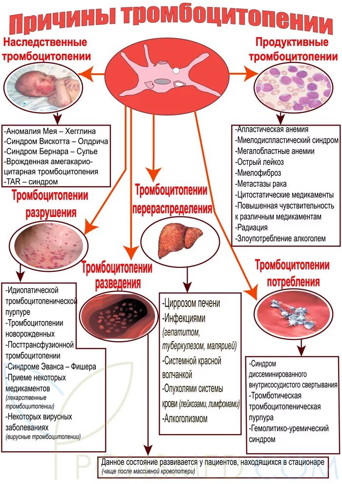 Тромбоцитопения кровотечение. Тромбоцитопения при инфекциях. Причины повышения и понижения тромбоцитов. Тромбоцитопеническая пурпура уровень тромбоцитов. Бессимптомная тромбоцитопения.