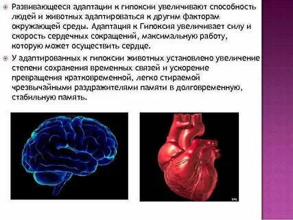 Адаптация к гипоксии
