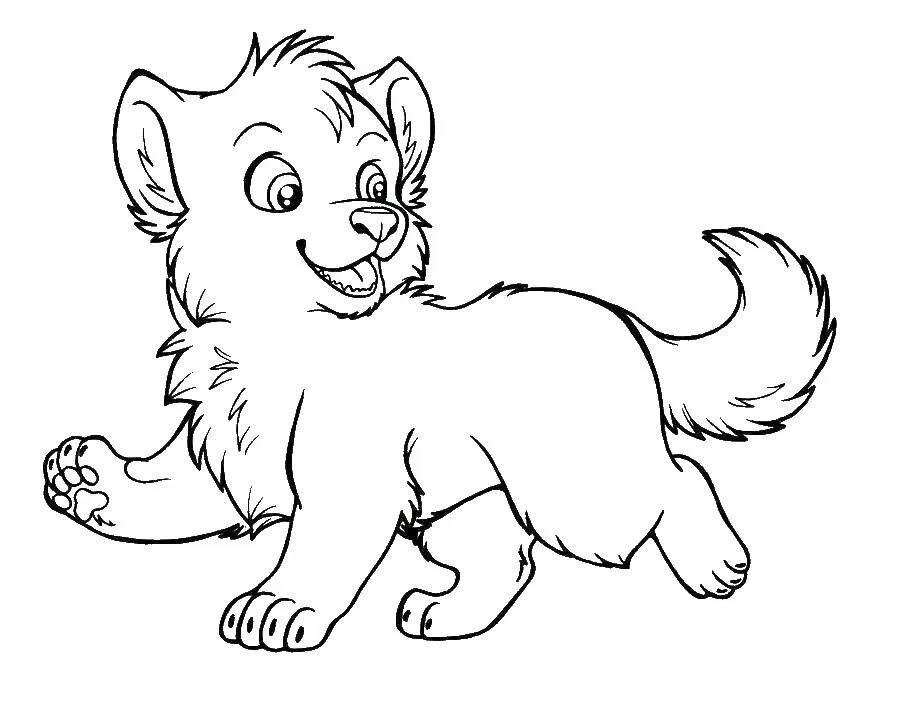 Раскраски дикие животные для детей лиса. Раскраска лисенок. Животные без цвета. Контурные рисунки животных для детей. Собачка и волчонок раскраска.