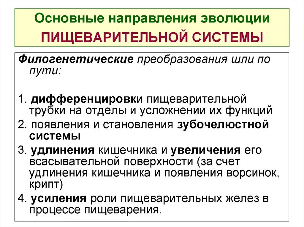 Основные направления эволюции пищеварительной системы позвоночных. Основные эволюционные изменения пищеварительной системы. Основные этапы эволюции пищеварительной системы животных. Основные направления эволюции пищеварительной системы хордовых. Основные эволюционные изменения