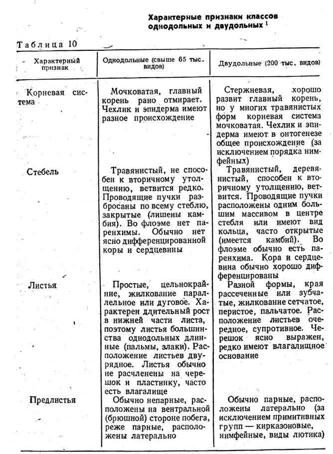 Основной признак однодольных. Таблица семейства однодольных и двудольных. Семейства однодольных и двудольных растений таблица. Семейства класса двудольные и Однодольные таблица. Однодольные и двудольные характеристика таблица.