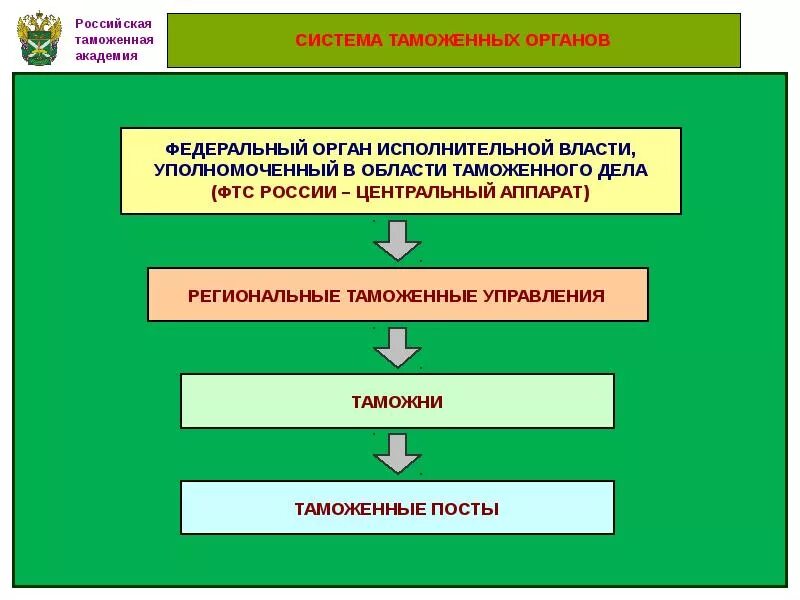 Транспорт таможенных органов. Структура таможни РФ. Система таможенных органов РФ схема. Механизм управления таможенными органами России ФТС. Структура таможенных органов.