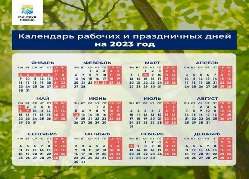 Сколько будни дней в году. График выходных на 2023 год. Праздничные дни в 2023. Выходные дни в 2023 году. Выходные и праздничные дни в 2023 году в России.