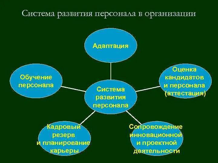 Формы развития персонала. Система развития персонала в организации. Формы системы обучения и развития персонала. Формы и методы развития персонала.