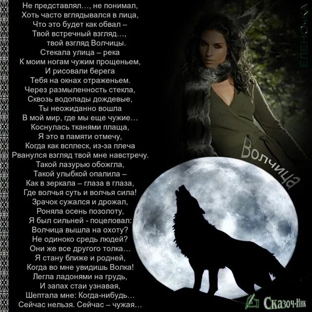Одинокая волчица белый песня. Стих про волчицу. Стих про волка. Любовь волка стих. Одинокая волчица.