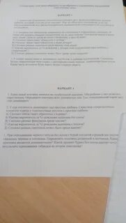Кареглазый мужчина женился на голубоглазой женщине оба