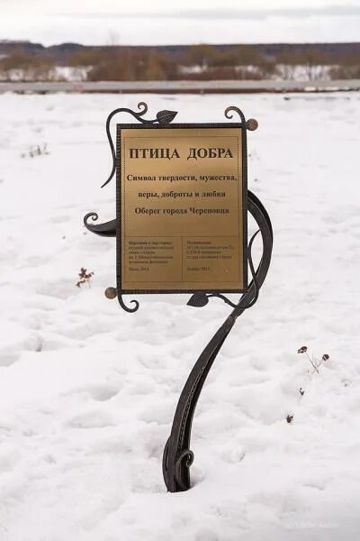 Добро череповец. Дари добро. Добро череповец. Птица добра череповец. 05.
