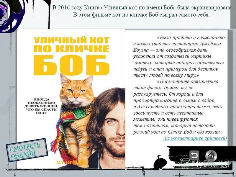 кот боб и джеймс боуэн. Funny cat names. кот без имени. имя для кота. кот без имени.