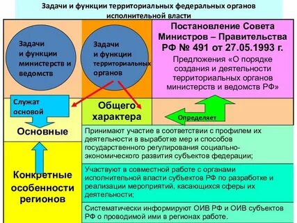 Территориальные органы