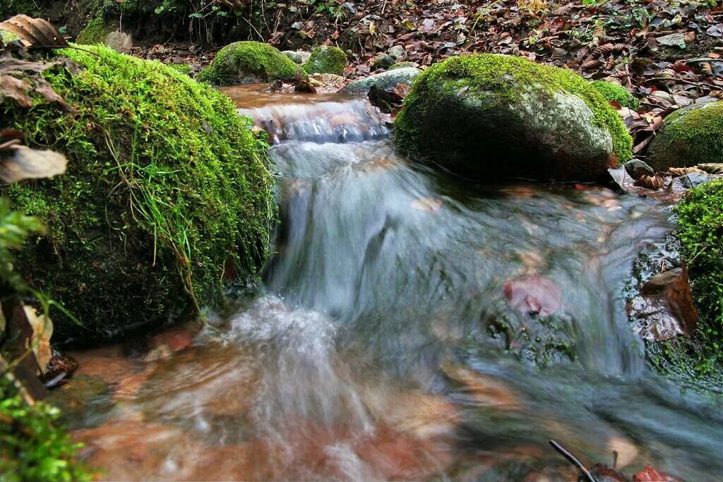 Река является источником воды. Студёный Родник Удмуртии. Природный Родник. Живописный Родник. Родник природа.