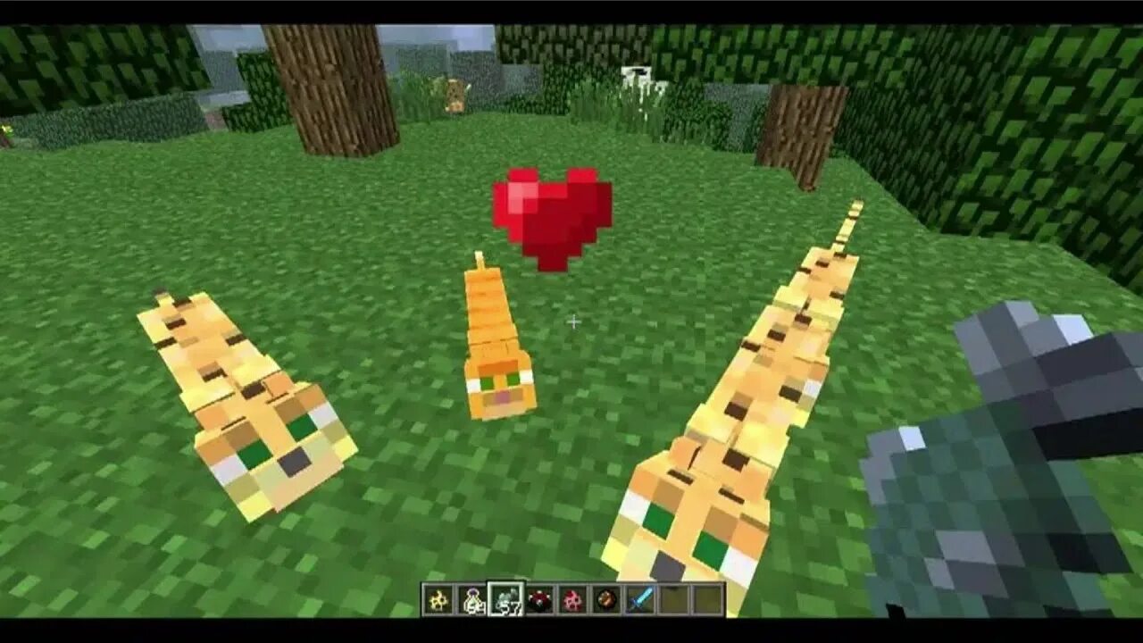 Ocelot Life (Minecraft Adventure) - YouTube