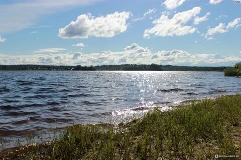 Белозерск пляж белое озеро