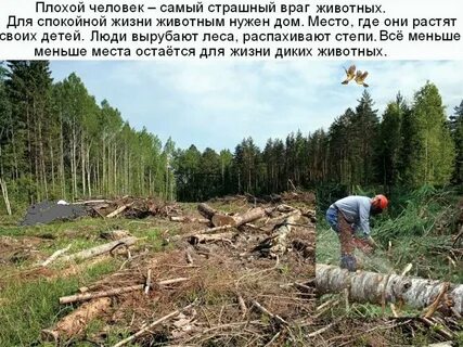 Враг животного