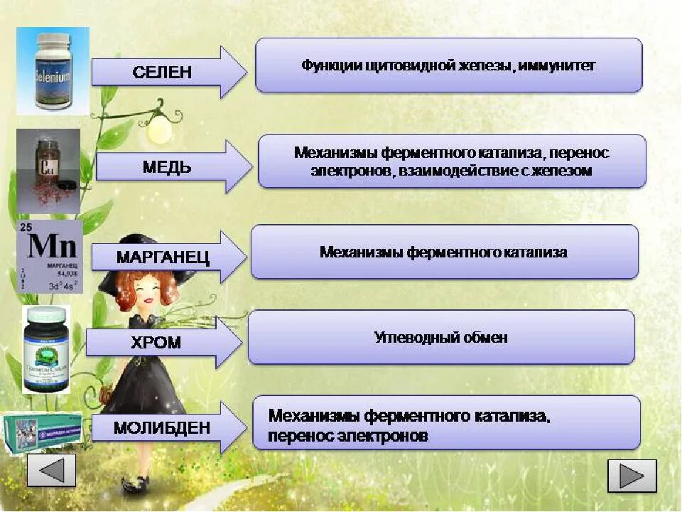 Какова роль микроэлементов в организме. Роль микроэлементов в организме. биологическая роль микроэлементов. биологическая роль микроэлементов в организме. роль микро и макроэлементов в жизни человека.