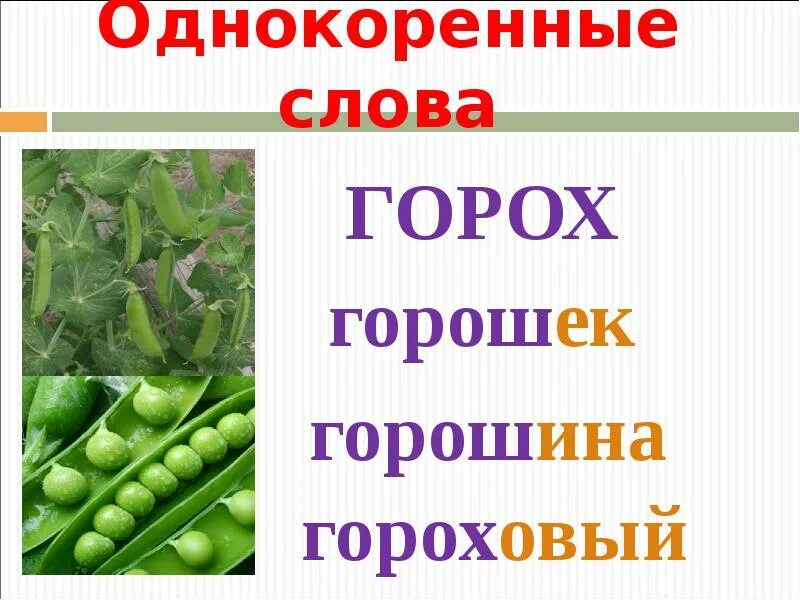 Горох проверочное слово. Корень слова горошек. Поговорки с однокоренными словами. Горох однокоренные слова. Однокоренные слова к слову горох.