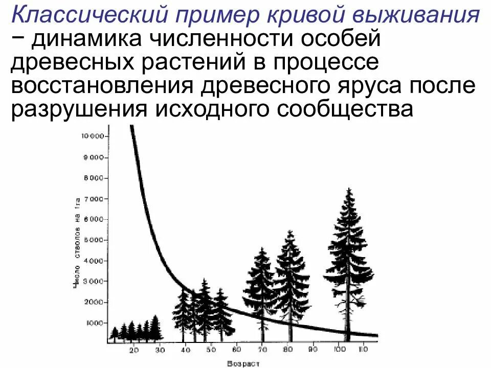Изучите график отражающий динамику численности животных