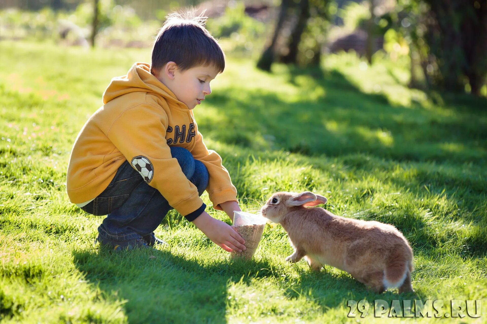 Дети ухаживают за животными. Забота о животных. Ребенок кормит животное. Забота детей о животных. Животные для мальчиков.