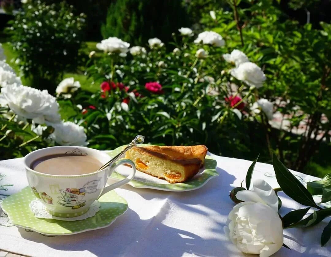 Какое сегодня утро. Чаепитие в саду. Завтрак в саду. Утренний кофе на природе. Завтрак на природе.