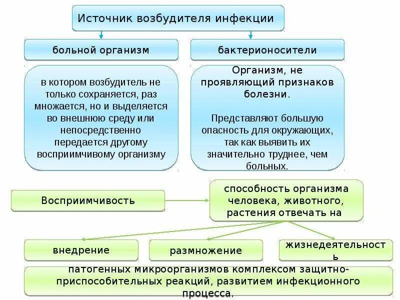 Основная инфекция. Основные инфекционные заболевания и их профилактика. Основные инфекционные заболевания и их профилактика презентация. Основные источники инфекционных заболеваний. Основные инфекционные заболевания и их профилактика ОБЖ.