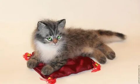 Кот васька сибирский